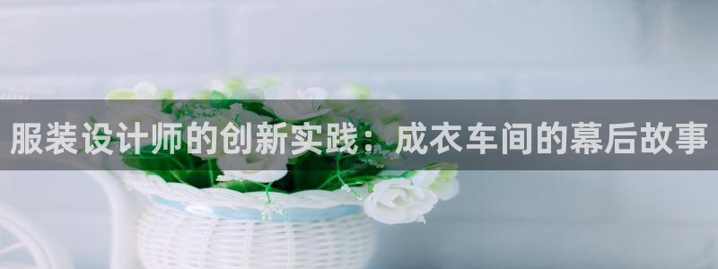 pg电子平台体验版