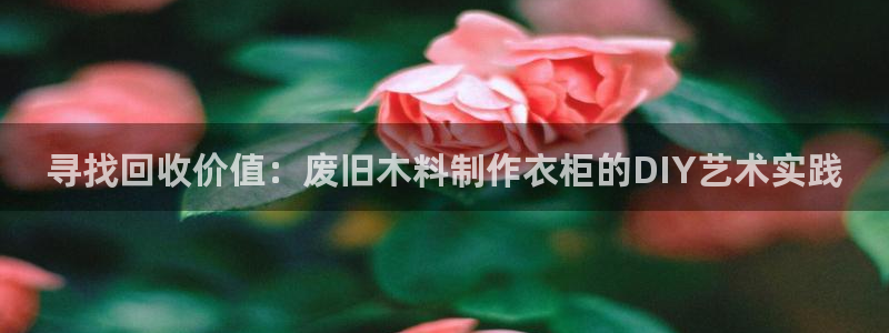 哪个棋牌有pg电子