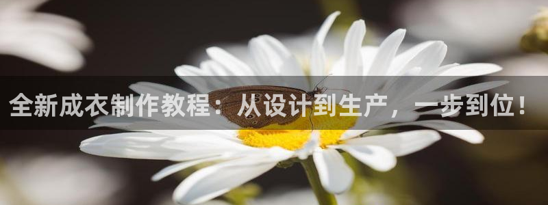 pg电子免费单机游戏