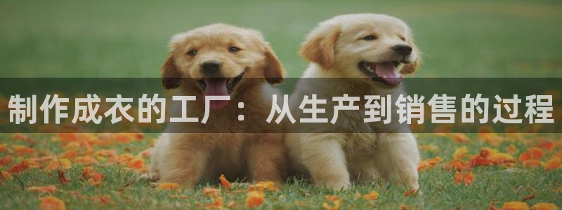 pg电子游戏象财神技巧