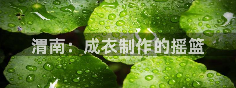 pg电子模拟器免费版
