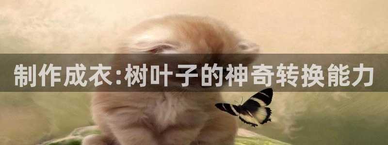 pg电子游戏封面图片
