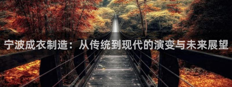 凤凰传奇pg电子