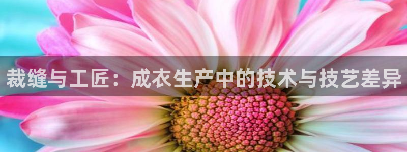 pg电子游戏试玩