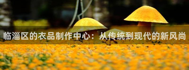 电子游戏爆奖视频pg