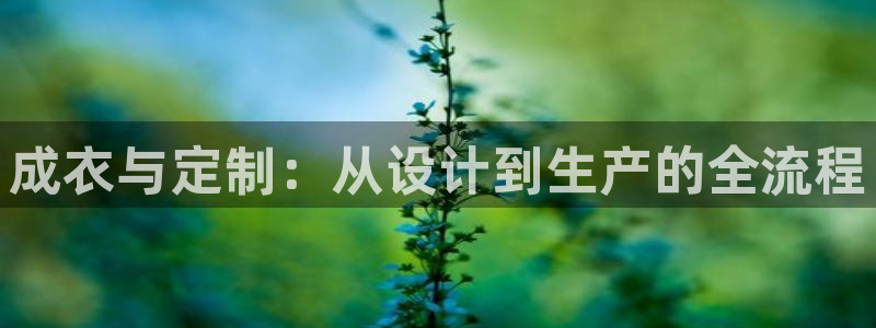 pg电子平台登录