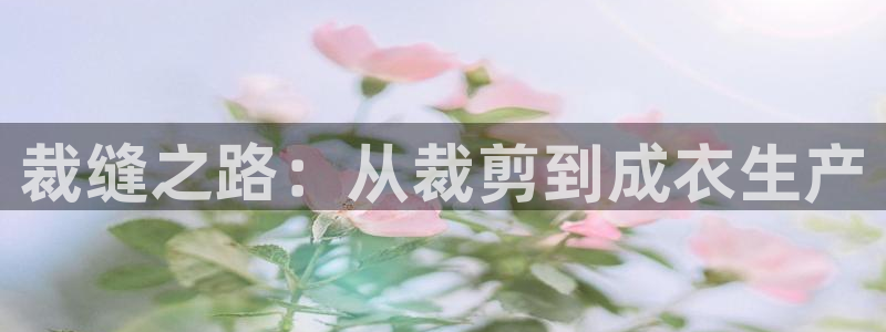 竹子熊猫电子游戏pg
