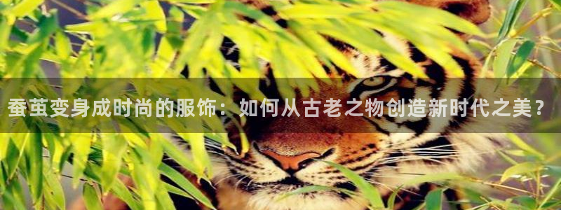 pg电子游戏平台