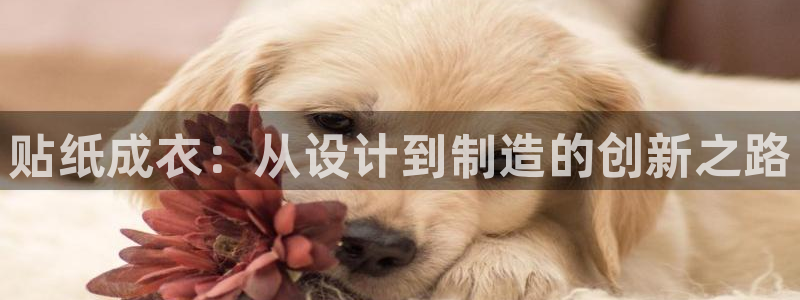 PG电子麻将胡了不爆分