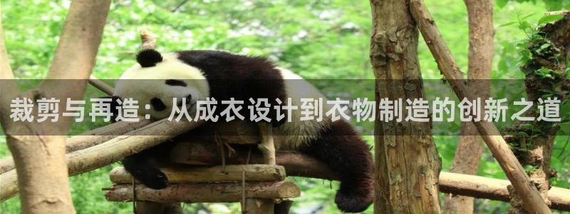 pg电子最大爆分