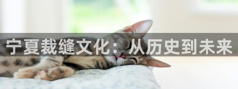 麻将胡了pg电子网站
