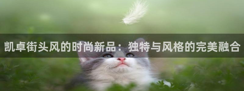 pg电子麻将胡了单机