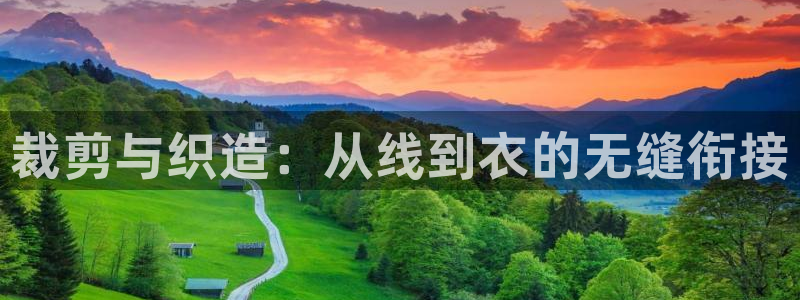 PG电子官网入口