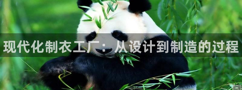 pg电子麻将胡了