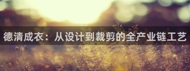 PG电子在线试玩官网