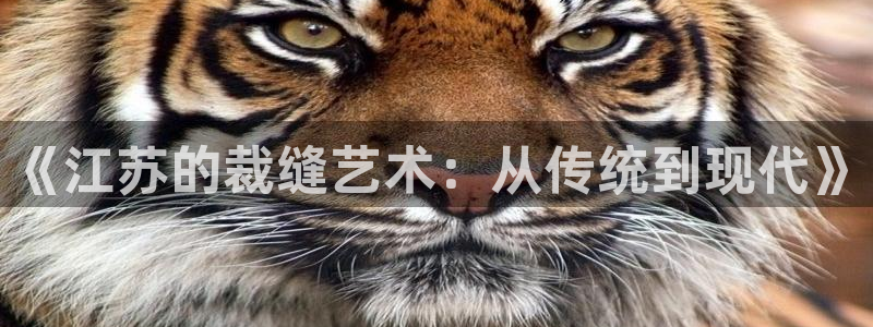 pg电子麻将胡牌规则