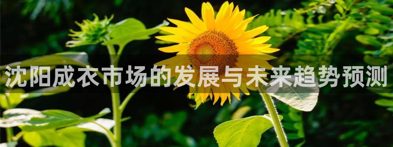送68pg电子