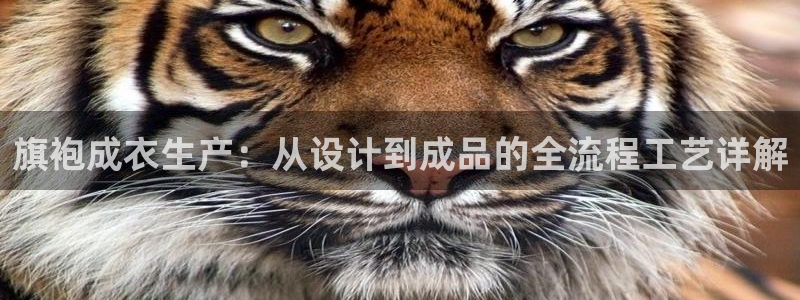 pg电子官方网站