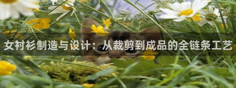 单机pg电子游戏