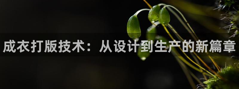 pg电子爆奖平台