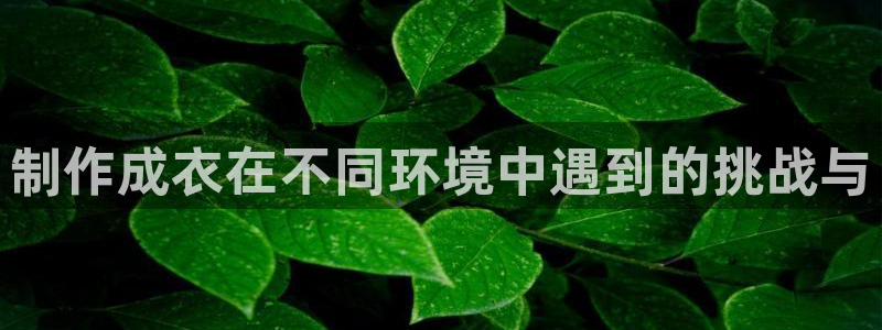 pg电子APP下载首页