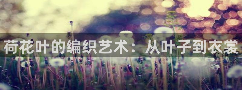 pg电子游戏封面图片