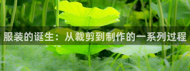 pg电子注册官网