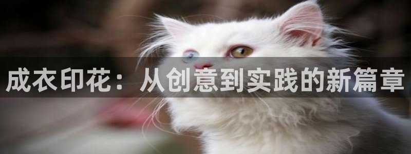 pg电子吃分时间