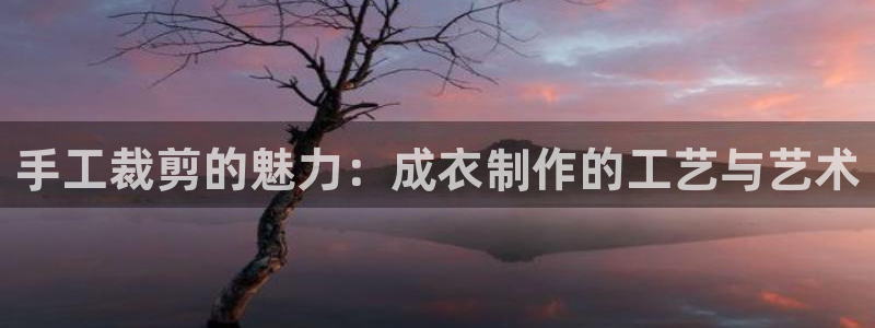 pg电子试玩网站