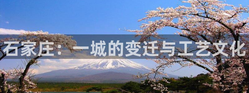 pg电子阿拉丁神灯攻略