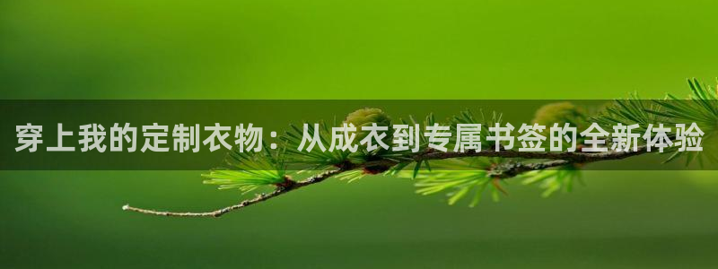 pg电子游戏哪个平台好