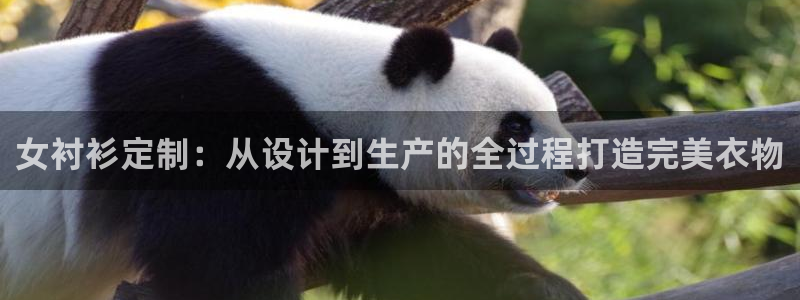 三只猴子pg电子