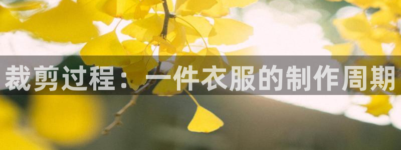 pg官方电子平台