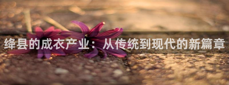 pg电子千赢国际