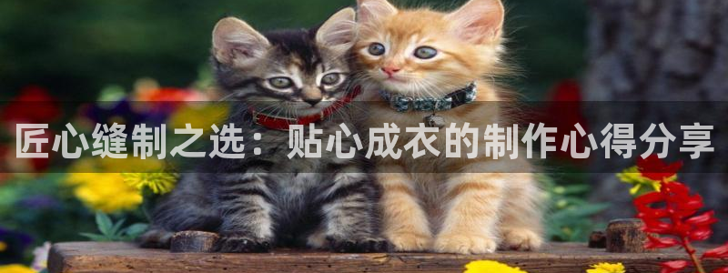 pg电子游艺风控应对