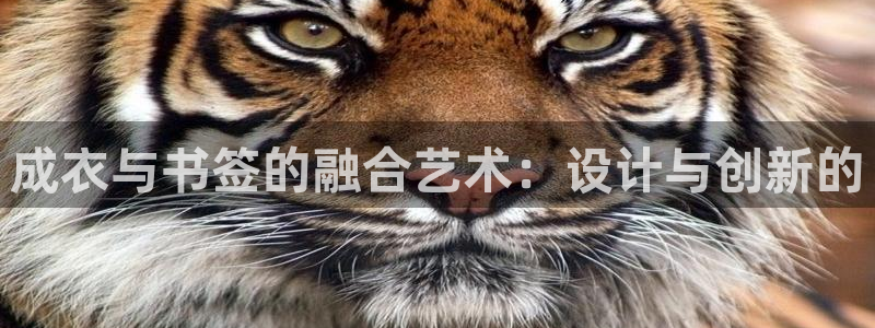 pg电子麻将胡了游戏大奖视频