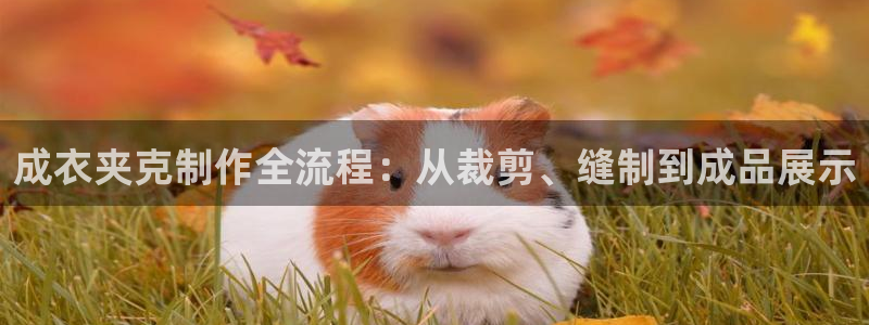 PG电子怎么玩出爆分