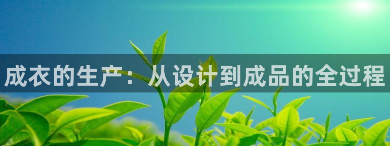 pg电子免费游戏爆分