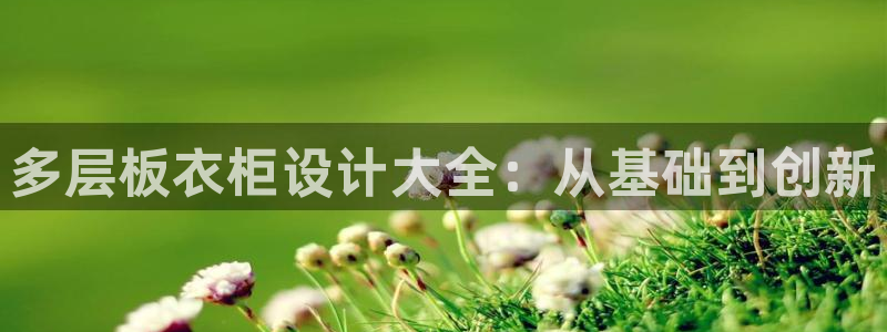 pg电子游戏国外官网