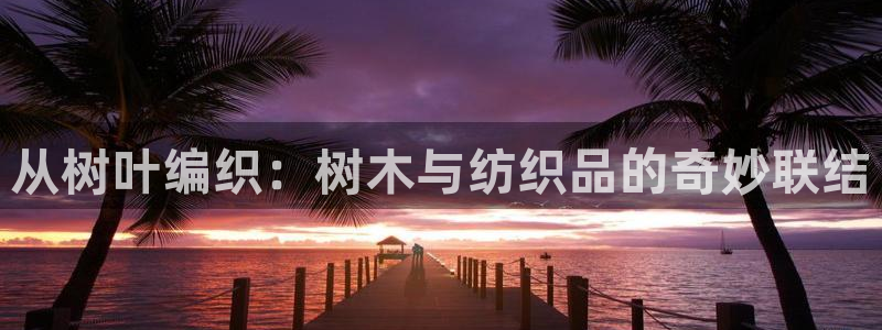 pg夜醉佳人电子游戏