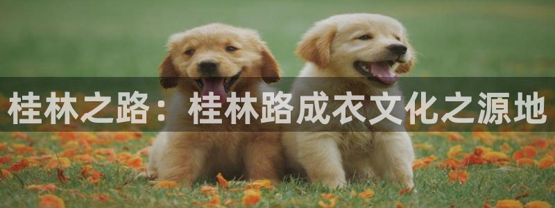 pg电子试玩平台