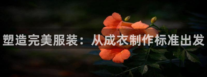 试玩pg电子y后之谜